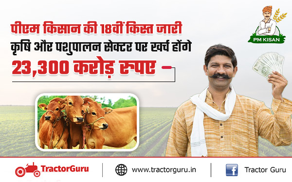 PM Kisan Yojana : कृषि और पशुपालन क्षेत्र में 23,300 करोड़ की विभिन्न पहलों के लिए किसानो को 18वीं किस्त जारी