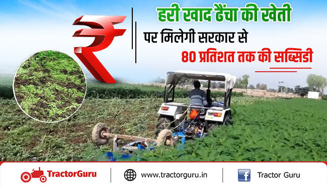 हरी खाद की खेती पर मिलेंगे सरकार से 7200 रुपए जानें कैसे करे आवेदन