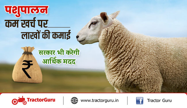 पशुपालन : कम खर्च पर लाखों की कमाई, सरकार भी करेगी आर्थिक मदद