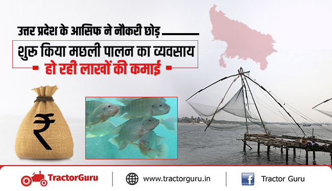 उत्तर प्रदेश के आसिफ ने नौकरी छोड़ शुरू किया मछली पालन का व्यवसाय हो रही लाखों की कमाई