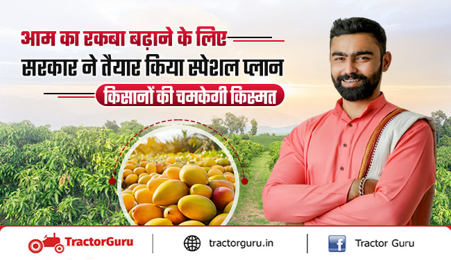 आम उत्पादकों के लिए बड़ी खबर, आम एक्सपोर्ट के लिए सरकार का स्पेशल प्लान तैयार