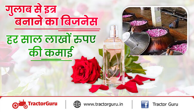 गुलाब से इत्र बनाने का बिजनेस से किसान होंगे मालामाल, होगी लाखों रुपए कमाई