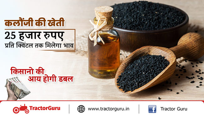 कलौंजी की खेती : 25 हजार रुपए प्रति क्विंटल तक मिलेगा भाव, किसानो की आय होगी डबल