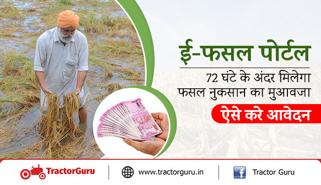 ई-फसल पोर्टल : 72 घंटे के अंदर मिलेगा फसल नुकसान का मुआवजा, ऐसे करे आवेदन