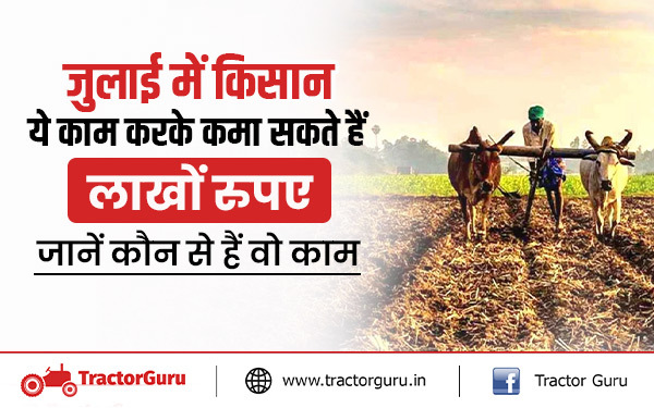 जुलाई में किसान ये काम करके कमा सकते हैं लाखों रुपए, जानें कौन से हैं वो काम