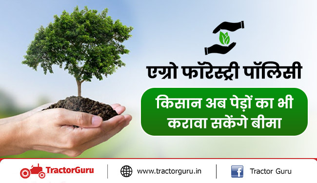 एग्रो फॉरेस्ट्री पॉलिसी : किसान अब पेड़ों का भी करावा सकेंगे बीमा