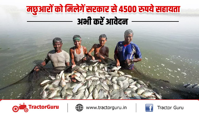 मछली पालकों को मिलेंगी 4500 रुपए की सब्सिडी, जानें सरकार की पूरी योजना