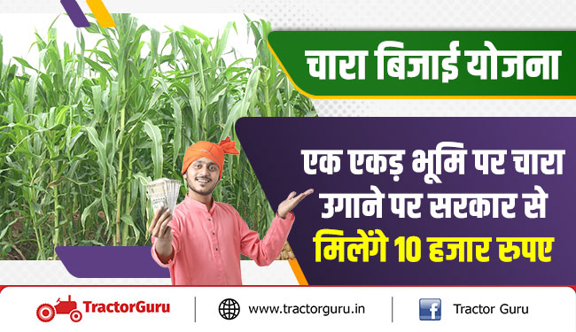 चारा-बिजाई योजना : चारा खेती करने वाले किसानों को 10 हजार रूपये प्रति एकड़ देगी सरकार