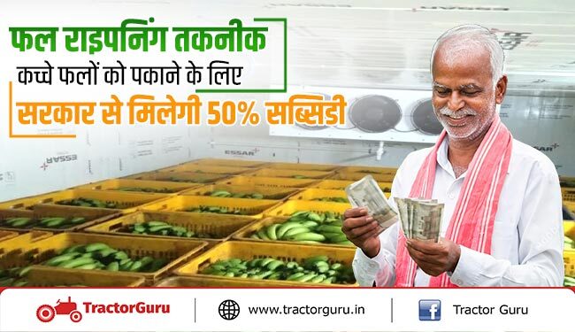 फल राइपनिंग तकनीक : कच्चे फलो को पकाने के लिए सरकार से मिलेगी 50% सब्सिडी