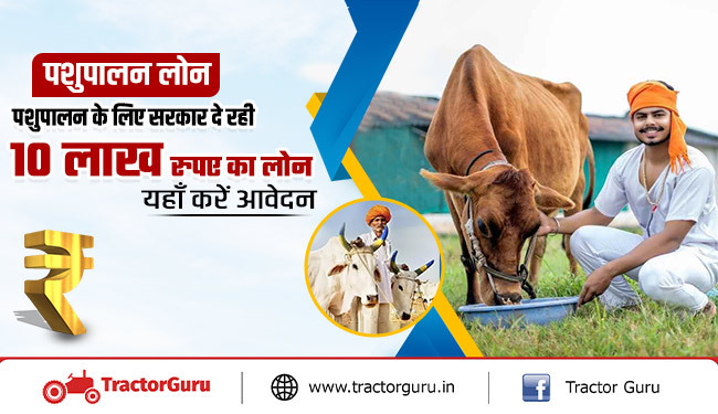 पशुपालन लोन : पशुपालन के लिए सरकार दे रही 10 लाख रुपए का लोन, अभी करें आवेदन