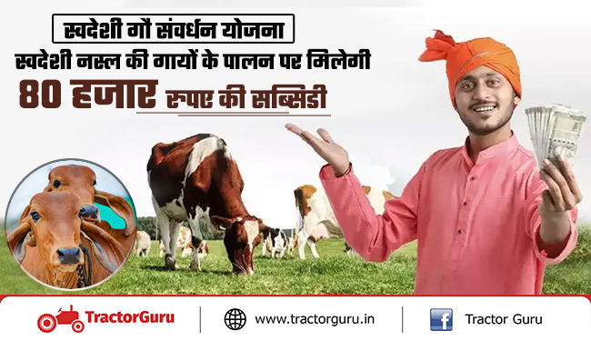 स्वदेशी गौ संवर्धन योजना : स्वदेशी नस्ल की गायों पर सरकार दे रही 80 हजार रुपए की सब्सिडी