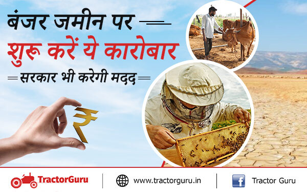बिजनेस आइडिया : सरकार इन व्यवसाय को शुरू करने में देती आर्थिक मदद, जानें, पूरी जानकारी