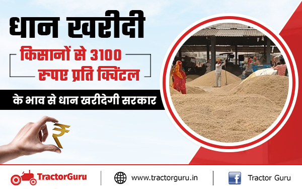 धान समर्थन मूल्य : किसानों से 3100 रुपए प्रति क्विंटल के भाव से धान खरीदेगी सरकार
