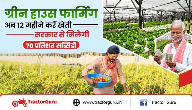 ग्रीन हाउस फार्मिंग : सरकार से मिलेगी 70 प्रतिशत सब्सिडी, 12 महीने करें खेती