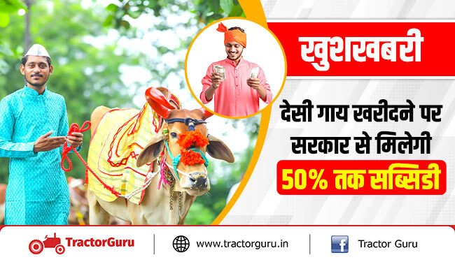 खुशखबरी : देसी गाय खरीदने पर सरकार से मिलेगी 50 प्रतिशत तक सब्सिडी