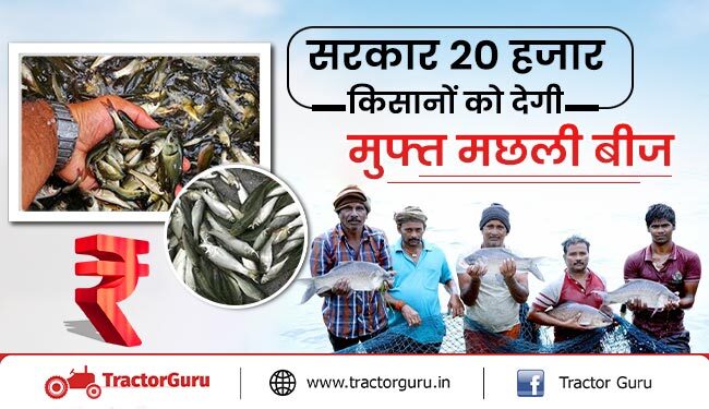 मानसून में मिली खुशखबरी : सरकार 20 हजार किसानों को देगी मुफ्त मछली बीज