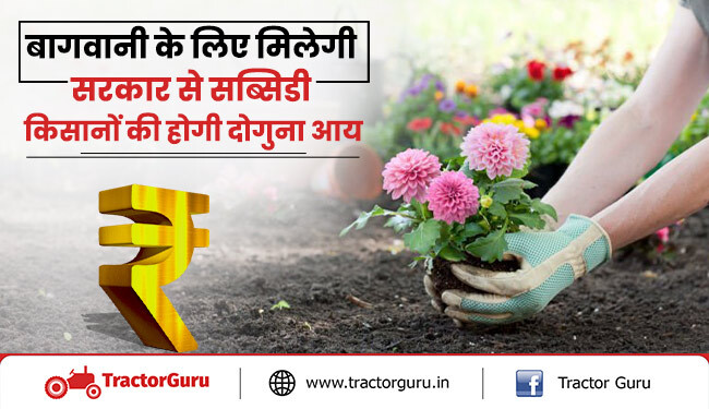 किसानो को बागवानी के लिए सरकार से  मिलेगी सब्सिडी , किसानों की आय में होगी वृद्धि