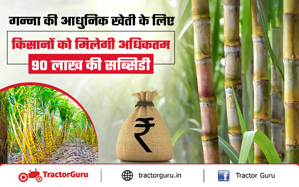 Sugarcane Farming : सरकार देगी गन्ने की आधुनिक खेती के लिए 90 लाख की सब्सिडी