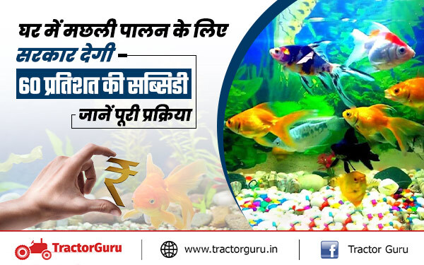 Fish Farming : घर में मछली पालन के लिए सरकार देगी 60 प्रतिशत की सब्सिडी, यहाँ करें आवेदन