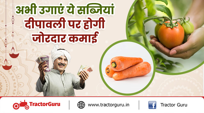 अभी उगाएं ये सब्जियां, दीपावली पर होगी जोरदार कमाई