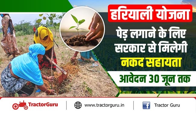 हरियाली योजना : पेड़ लगाने के लिए सरकार से मिलेगी नकद सहायता, आवेदन 30 जून तक