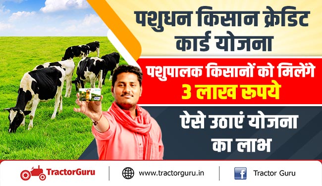 पशुधन किसान क्रेडिट कार्ड योजना : पशुपालक किसानों को मिलेंगे 3 लाख रूपये, ऐसे उठाएं योजना का लाभ