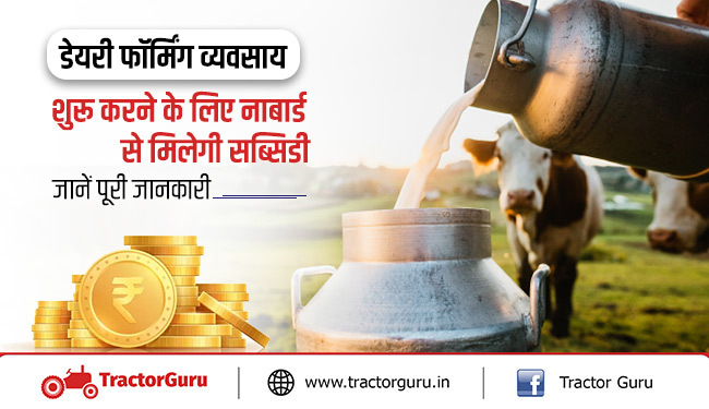 डेयरी फॉर्मिंग योजना : डेयरी बिजनेस के लिए नाबार्ड देगा सब्सिडी, ऐसे उठाएं फायदा