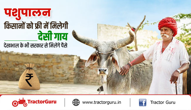 सहभागिता योजना : किसानों को फ्री में मिलेगी देसी गाय, देखभाल के भी सरकार से मिलेंगे पैसे