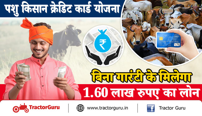 पशु किसान क्रेडिट कार्ड योजना : बिना गारंटी के मिलेगा 1.60 लाख रुपए का लोन