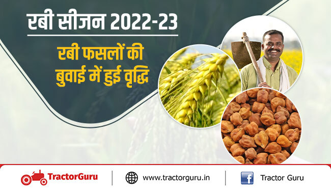 रबी सीजन 2022-23 : रबी की बुवाई में 4.37% की वृद्धि, जानें, कौनसी फसल कितनी हुई बुवाई