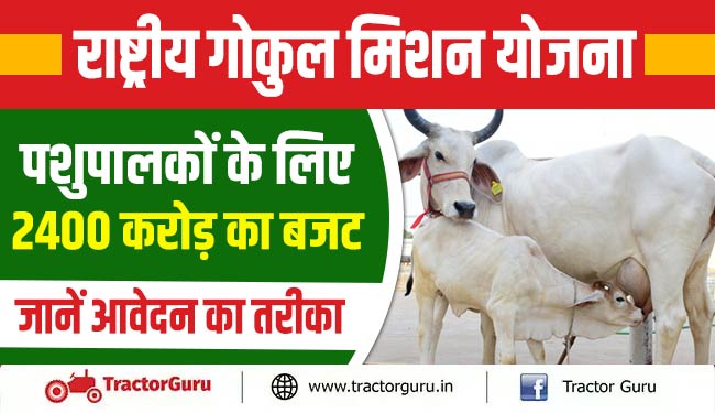 राष्ट्रीय गोकुल मिशन योजना : पशुपालकों के लिए 2400 करोड़ का बजट, जानें आवेदन का तरीका