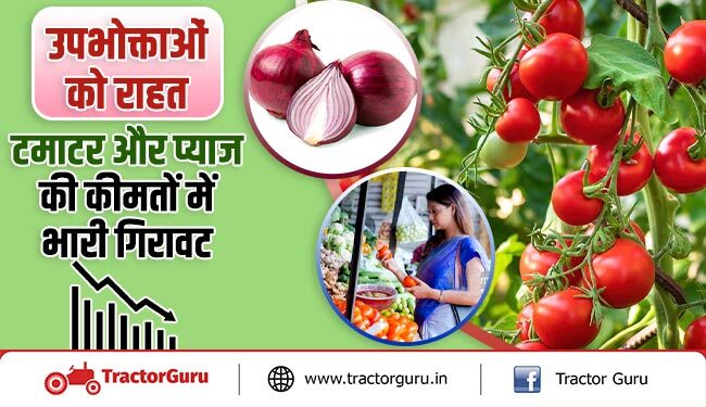 उपभोक्ताओं को राहत : टमाटर और प्याज की कीमतों में भारी गिरावट