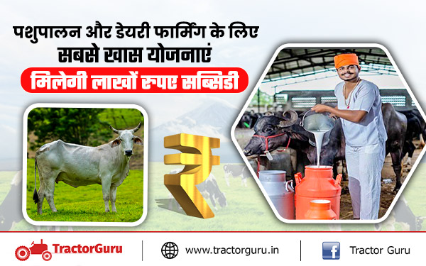 National Livestock Mission : पशुपालन और डेयरी फार्मिंग के लिए खास सरकारी योजनाएं