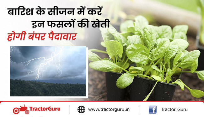 फसलों की खेती में खर्च करें मात्र 10,000 रुपये और कमाएं लाखों रुपए