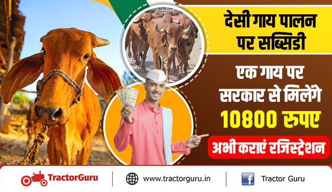 देसी गाय पालन पर सब्सिडी : एक गाय पर सरकार से मिलेंगे 10800 रुपए, अभी कराएं रजिस्ट्रेशन