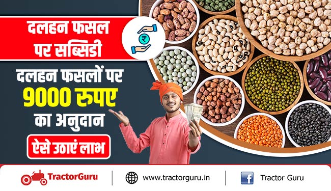 दलहन फसल पर सब्सिडी : दलहन फसलों पर 9000 रुपए का अनुदान, ऐसे उठाएं लाभ