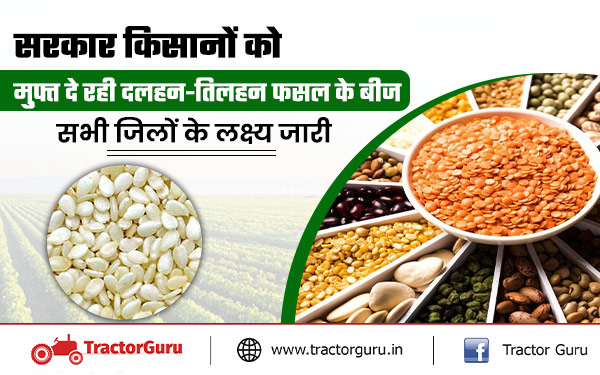 सरकार किसानों को मुफ्त दे रही दलहन-तिलहन फसल के बीज, 4 लाख से अधिक पैकेट बांटने की तैयारी