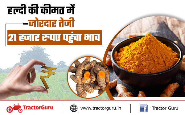Turmeric Price : हल्दी की कीमत में जोरदार तेजी, 21 हजार रुपए पहुंचा भाव