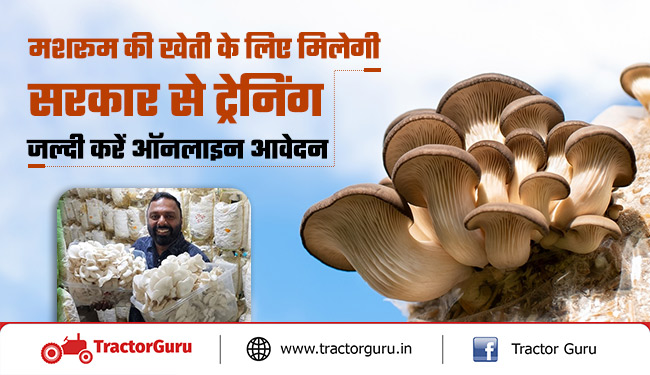 Mushroom Farming: मशरूम की खेती की लिए सरकार से मिलेगी ट्रेनिंग, यह करें आवेदन